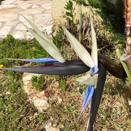 C3 Arthur Rimbaub D'hote Piscine Proche 600m 4*