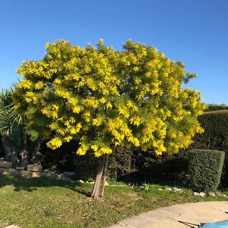 Panzió C3 Arthur Rimbaub D'hote Piscine Proche 600m Cagnes-sur-Mer